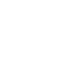 Consulting & Digital Strategy